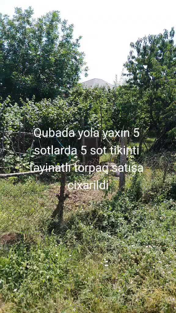 @Feran Mehtiyev