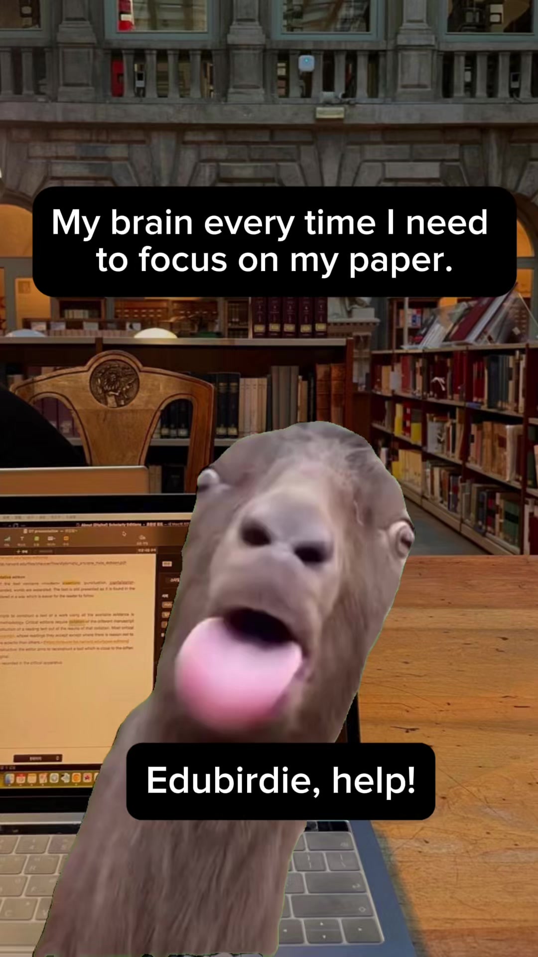 @edubirdie