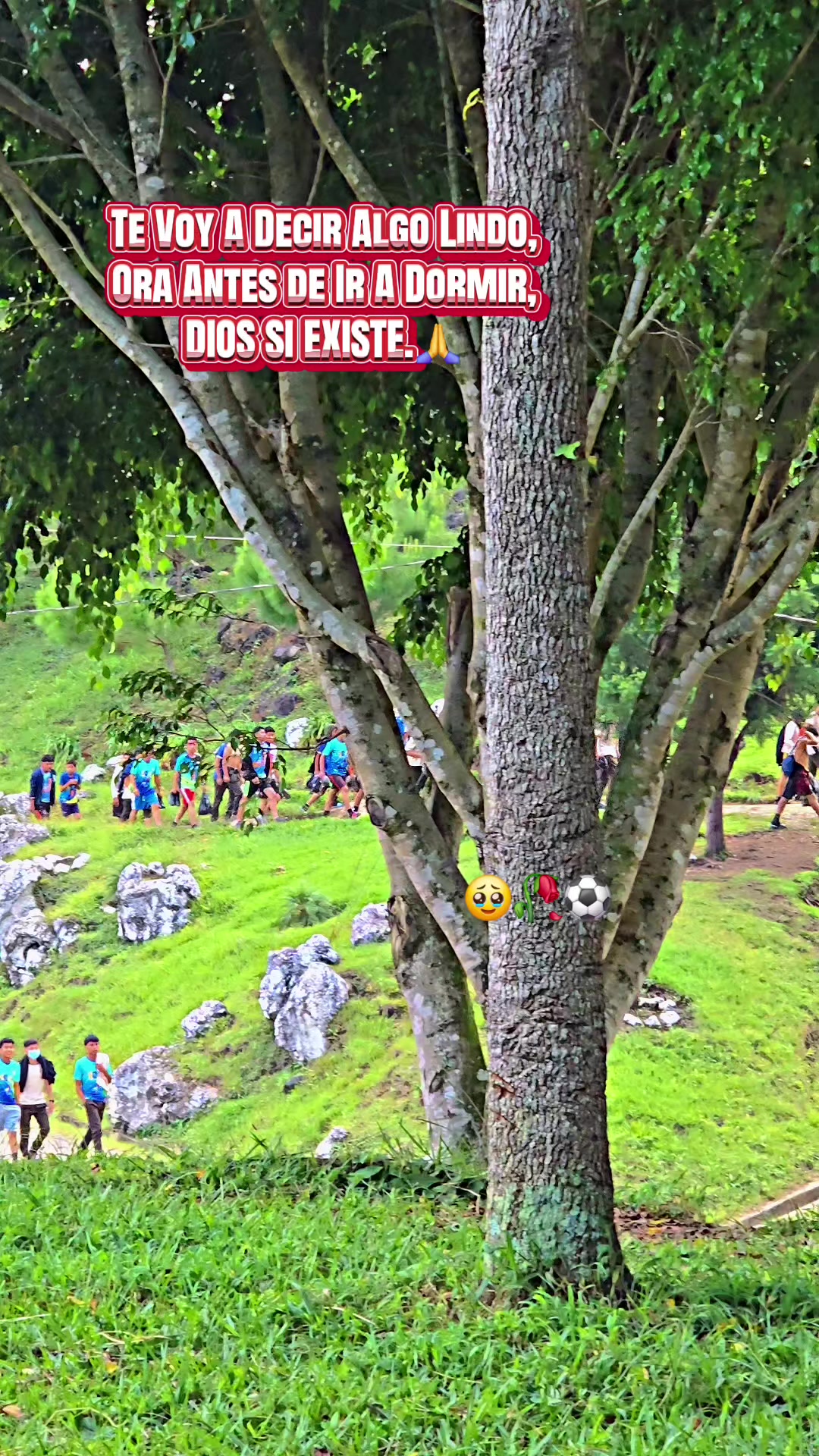 @Fr3dytho Golf&oacute; 🇬🇹