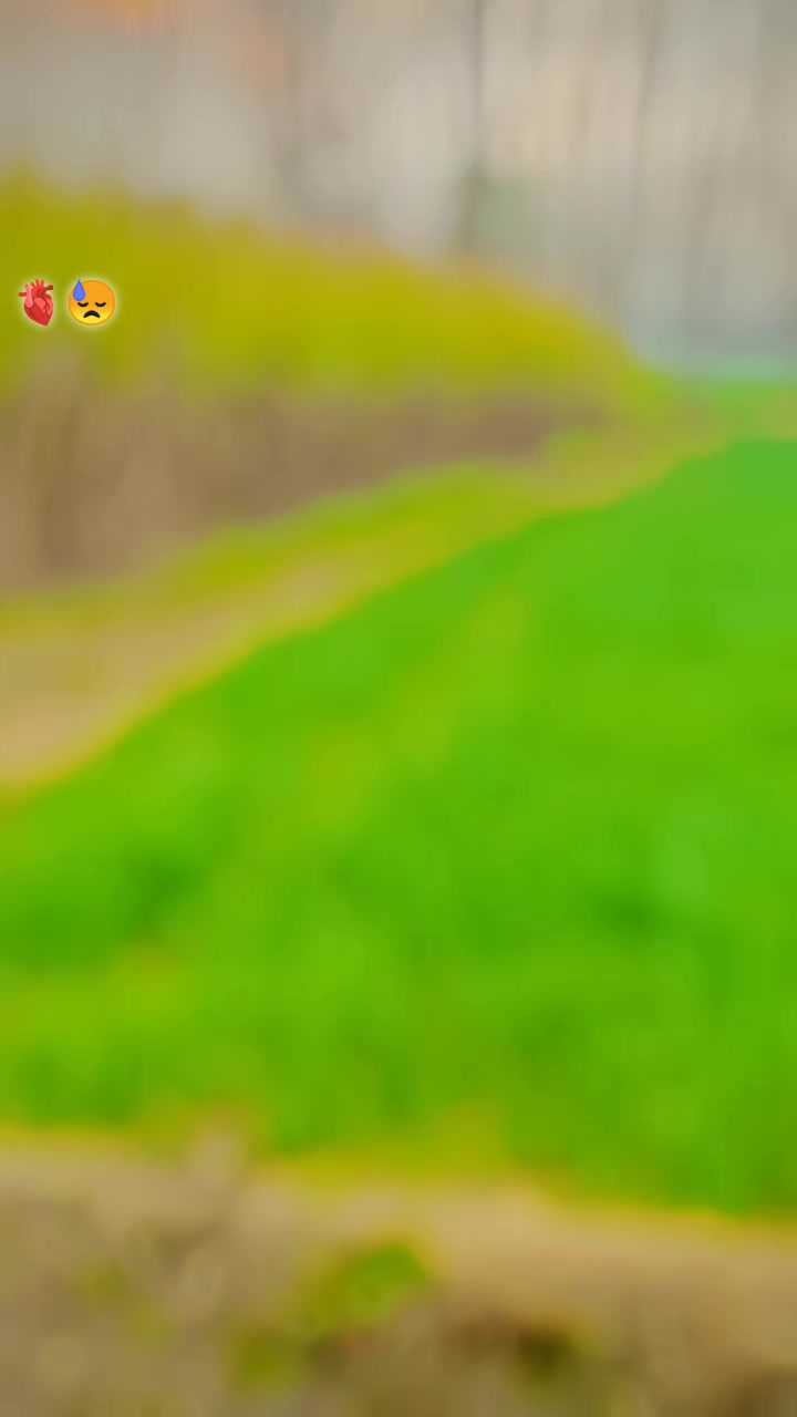 @HUSSAIN 102