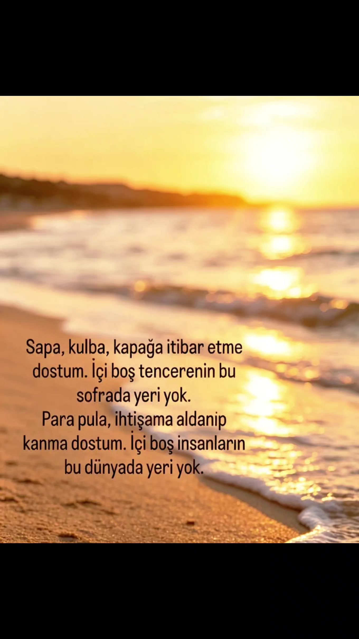 @&ccedil;ılgınveasi3