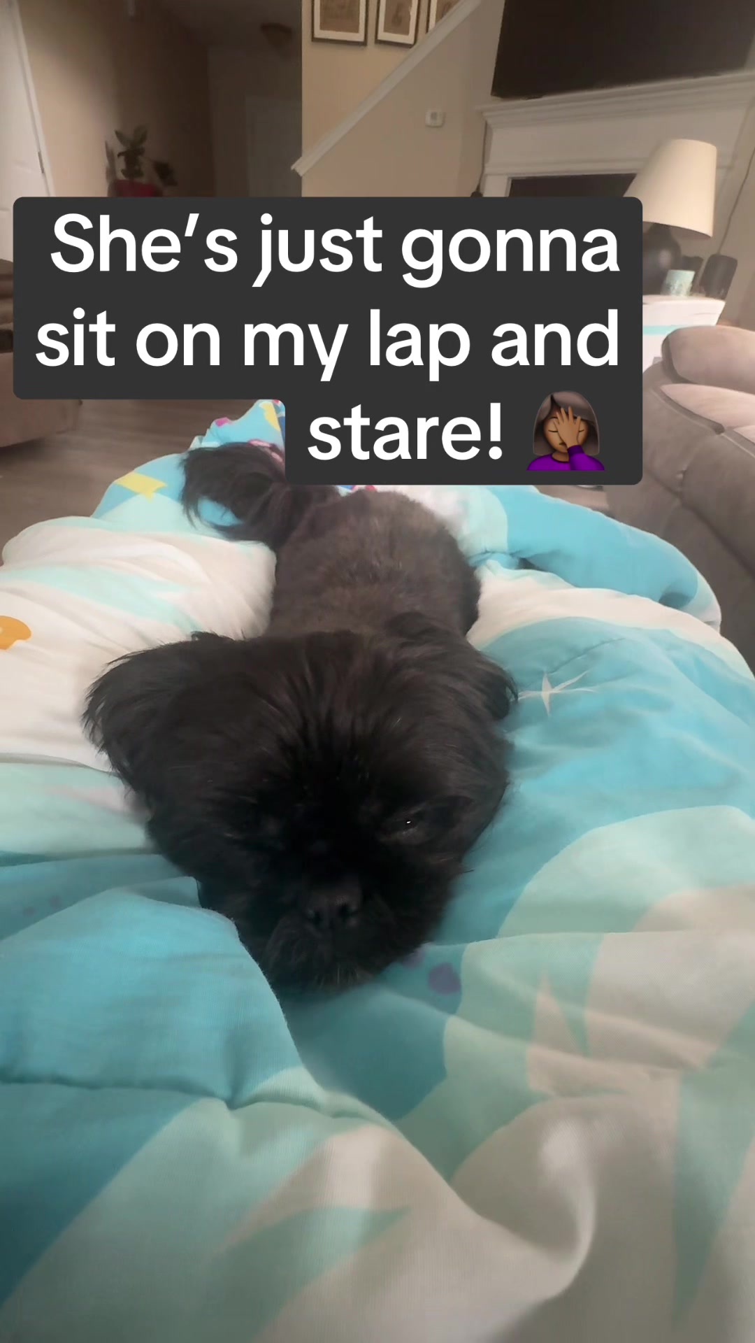@Adriennevibes