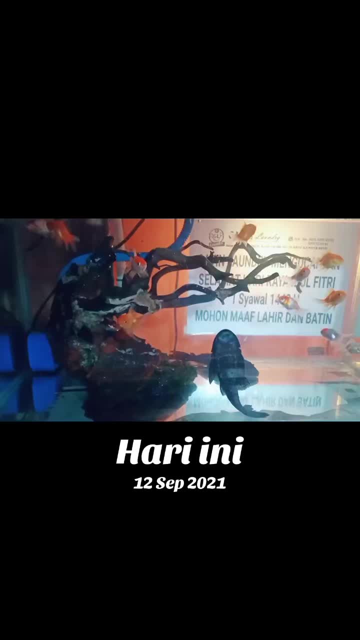 @GAVIN LAUNDRY BATAM