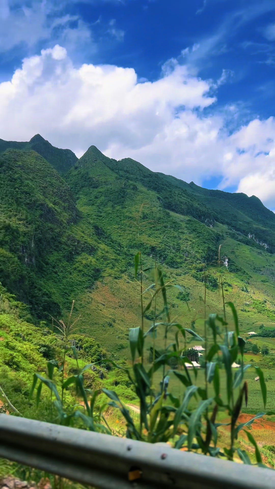 @LÍU 🇻🇳☣️