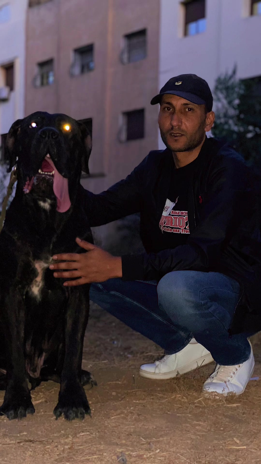 @canicorsoftmalinois