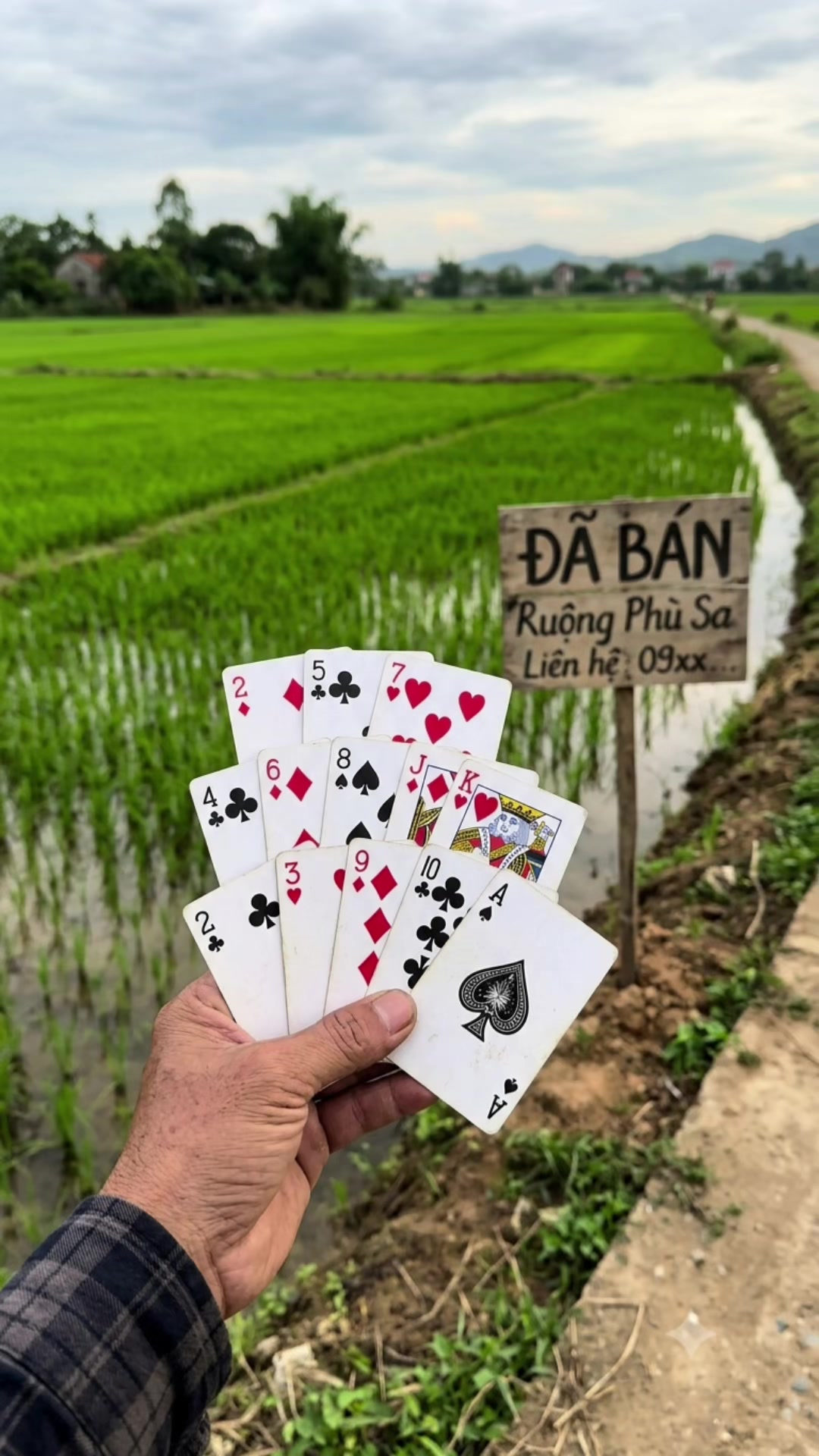 @hoangbinhduong