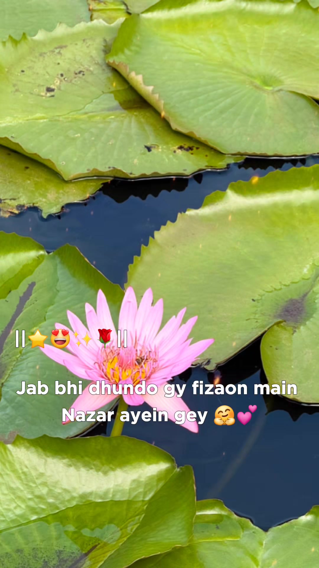 @Siyaa Dhaara