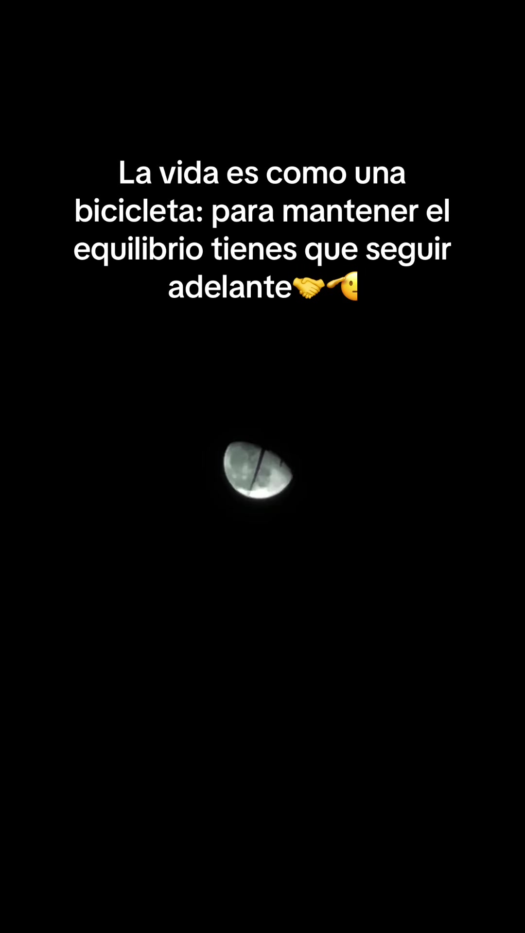 @BENJI.gt
