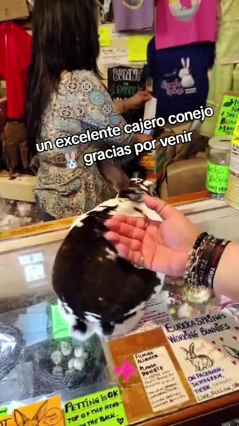 @monsterplus