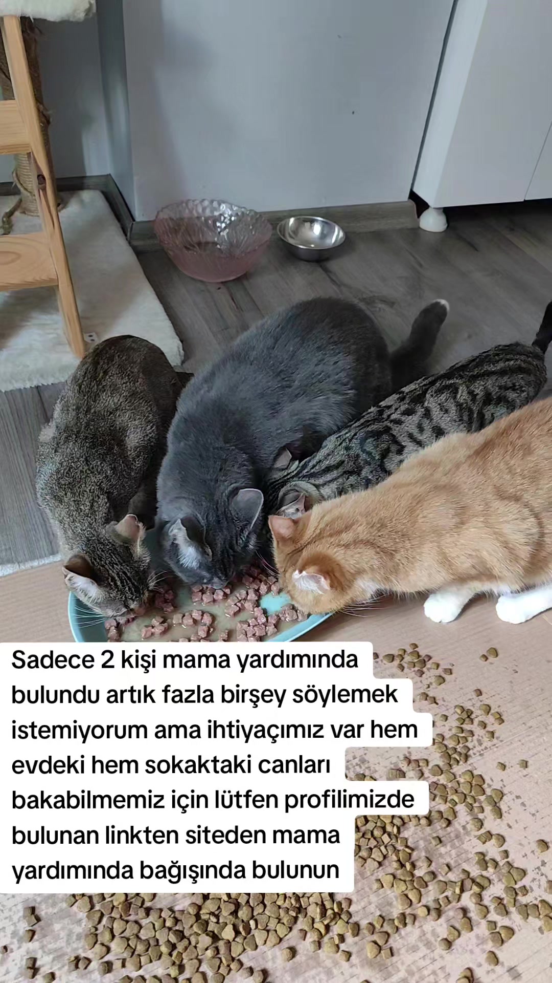 @@kedisizevolmaz