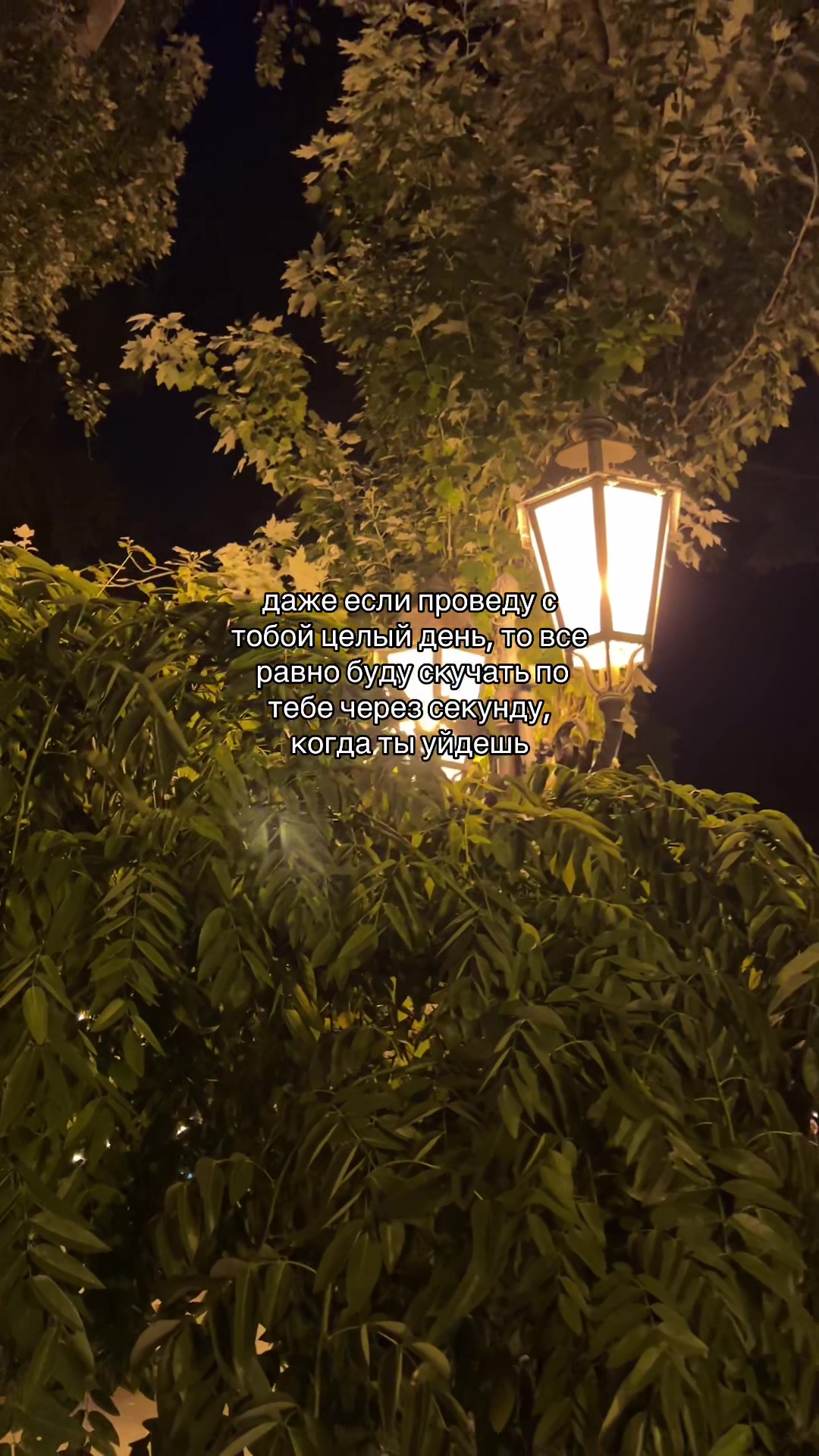 @кис кис💗