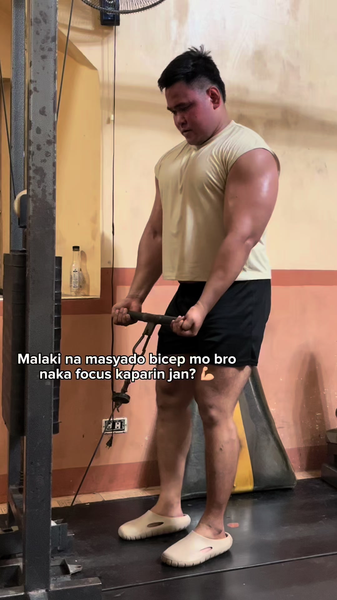 @bulkzilla01