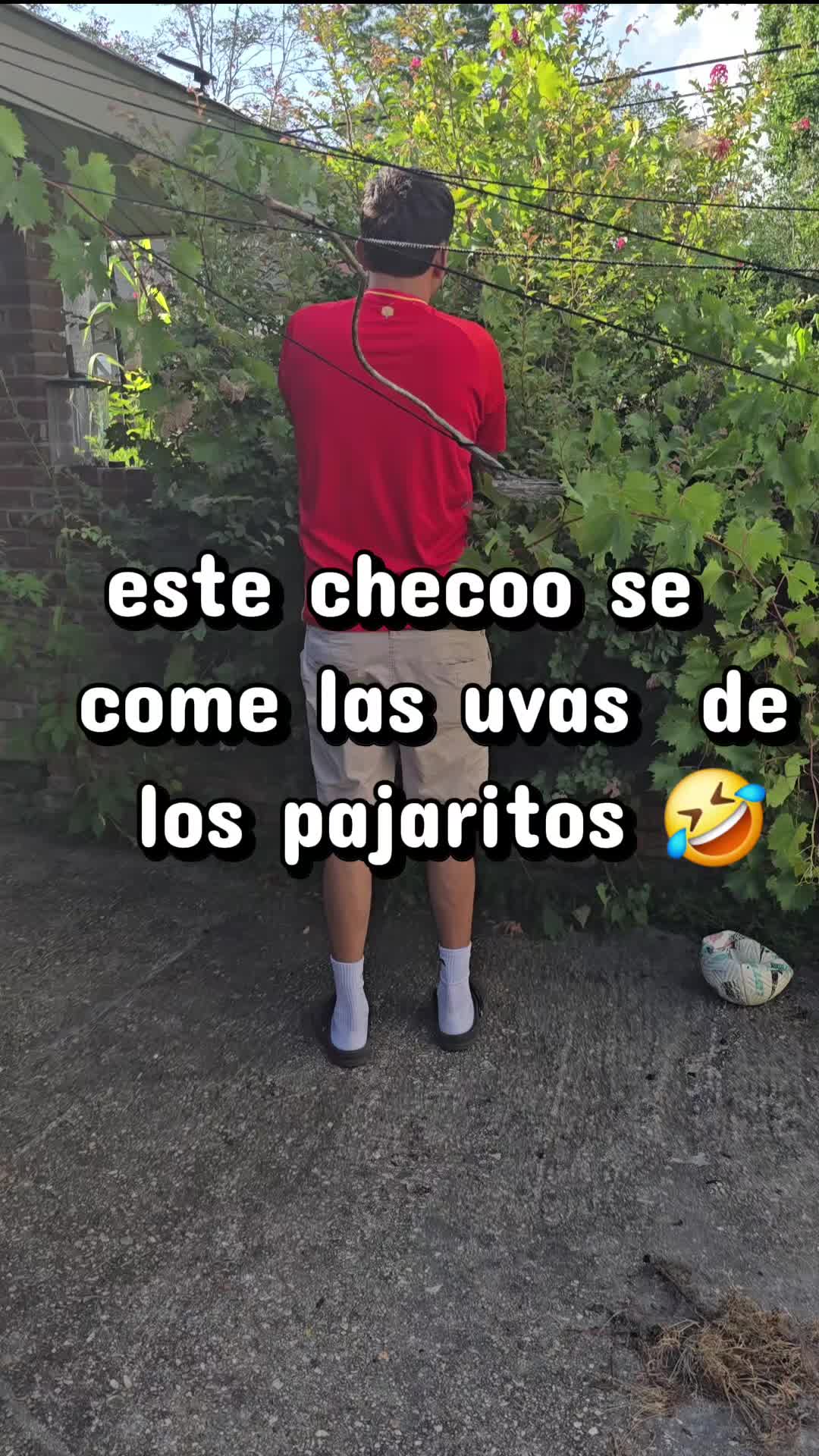 @Canu🤠