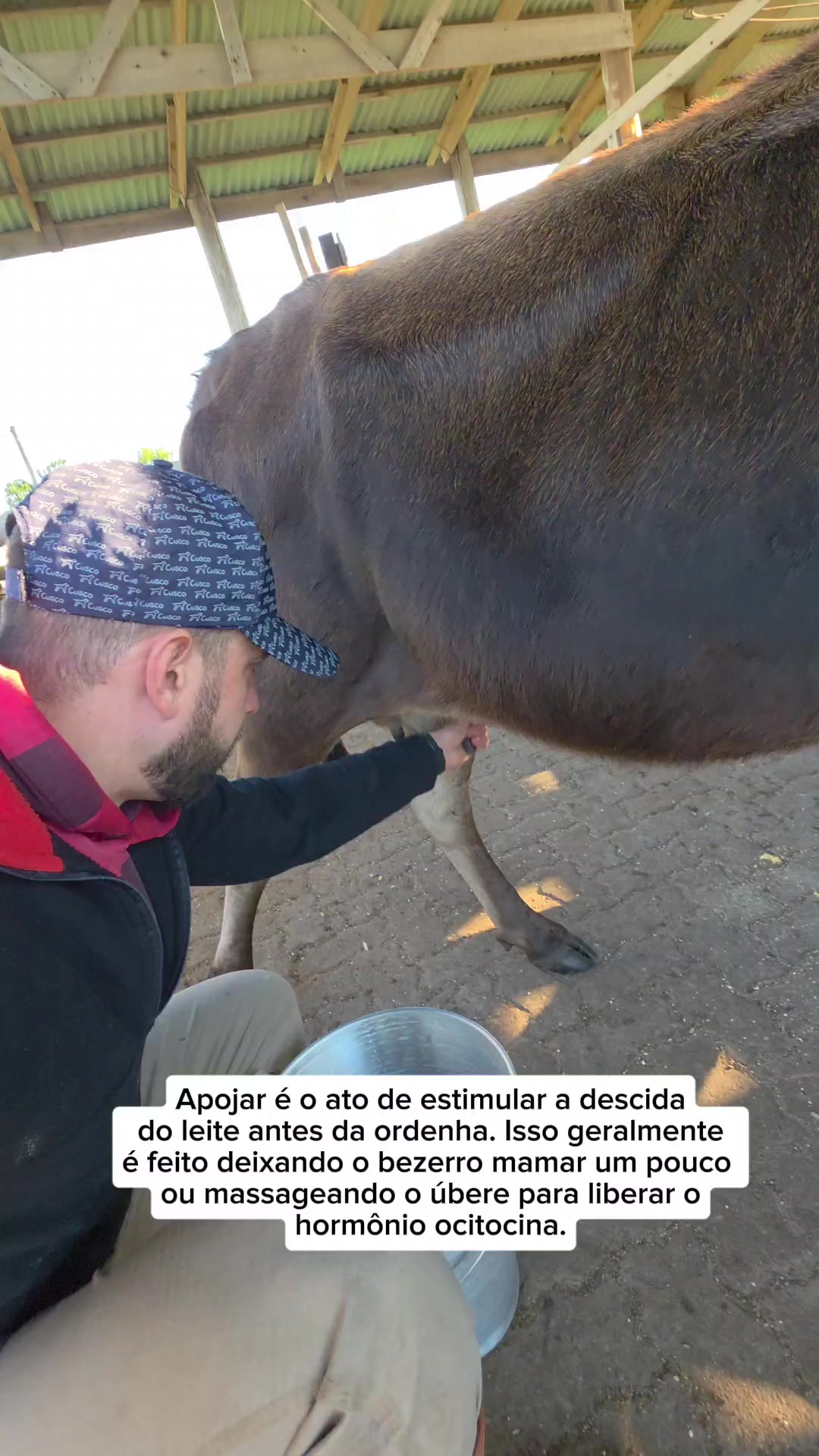 @Gilmar Júnior - Gaúcho Bagual