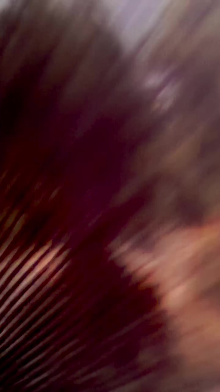 @𝐓𝐇𝐀𝐒𝐊𝐀𝐑𝐀 𝐕𝐄𝐄𝐑𝐀𝐍