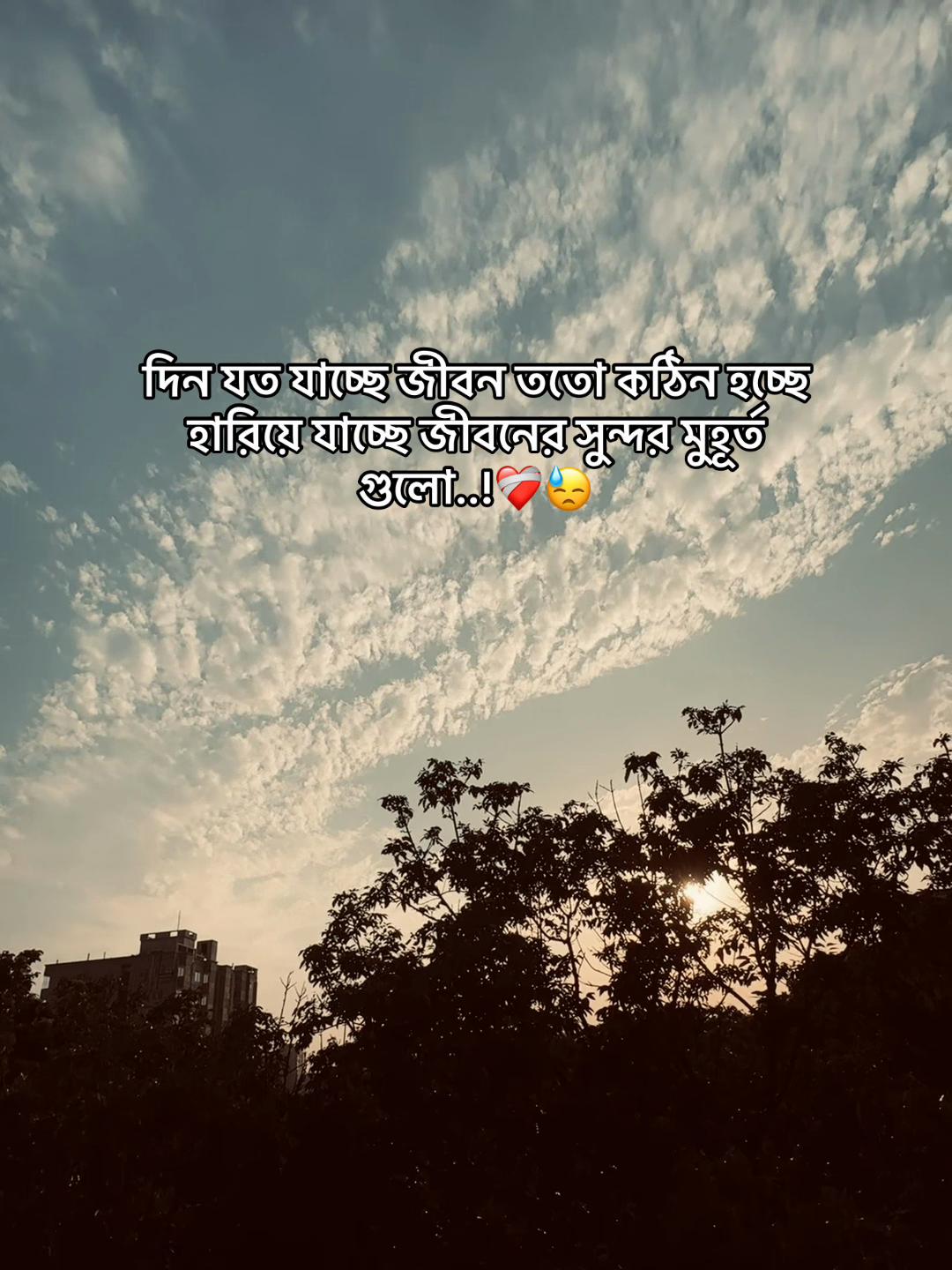 @Tanvir AhmeD&rsquo;z🚩