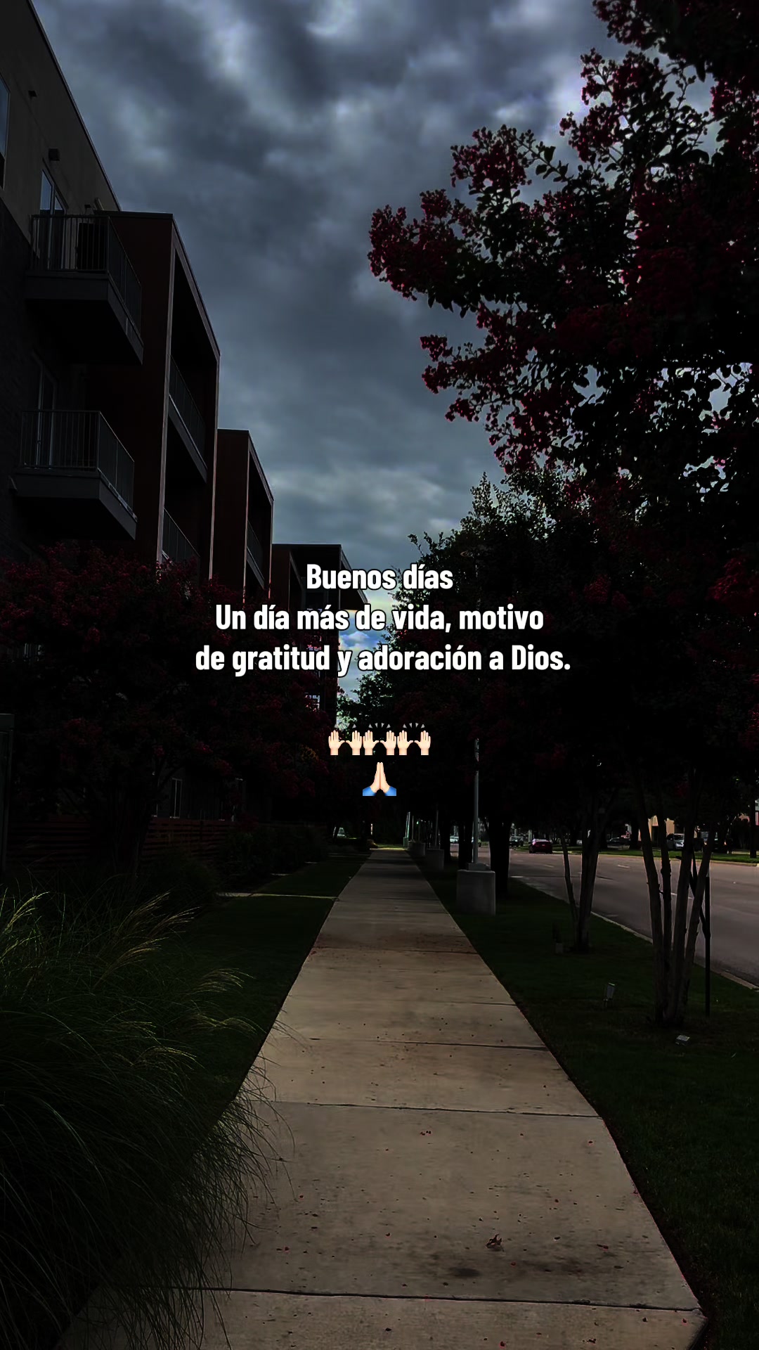 @thaniaSayegh💫frases
