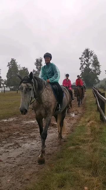 @КК "Фриз"🏇