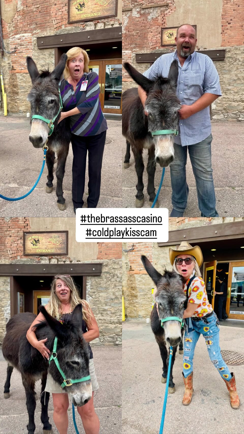 @CCDonkeysOfficial