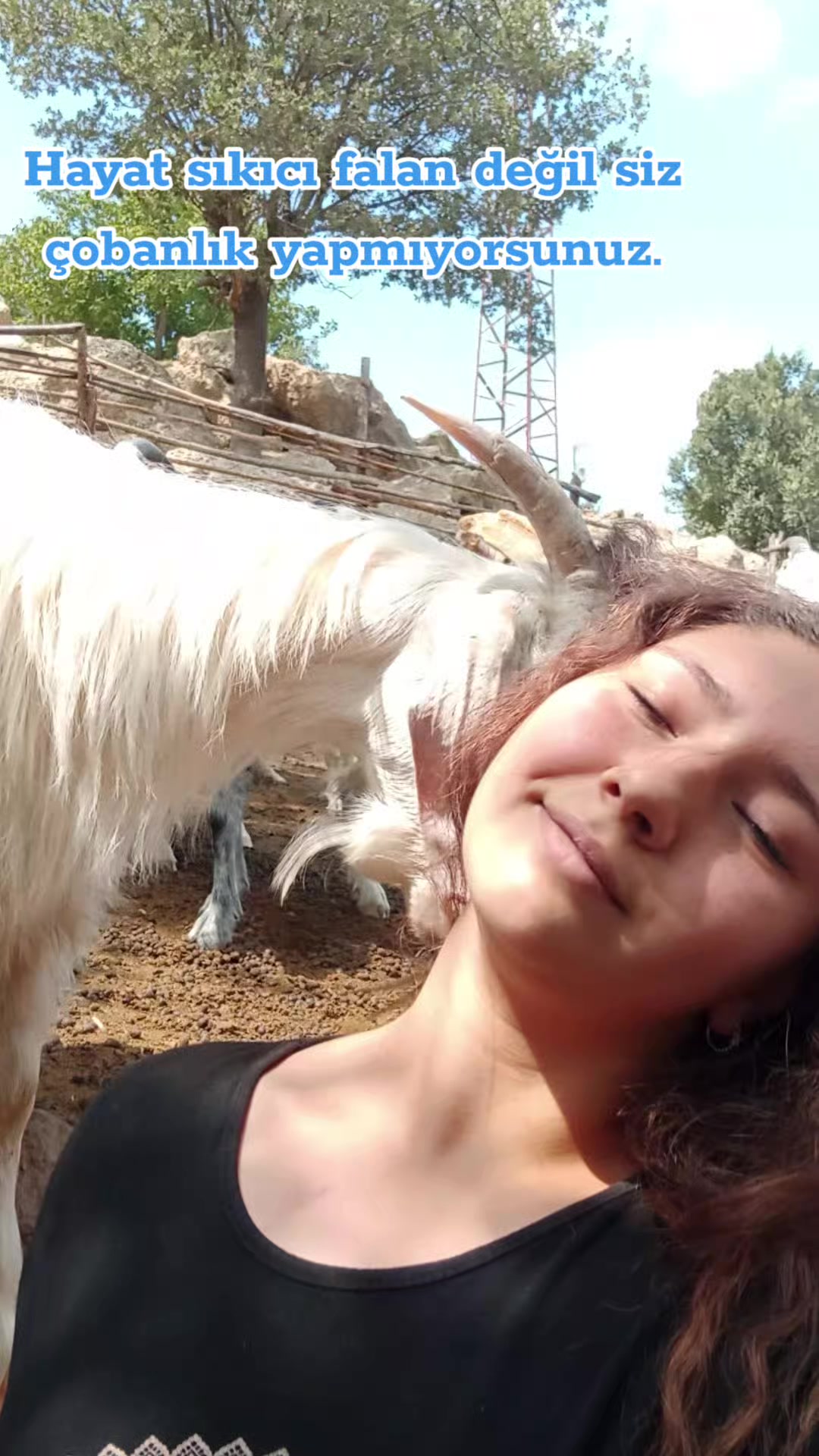 @Elif Çetin