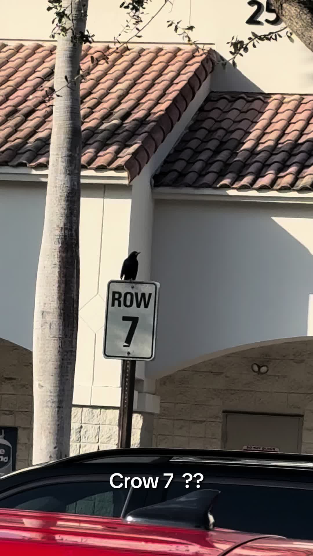 @RonGoneWild