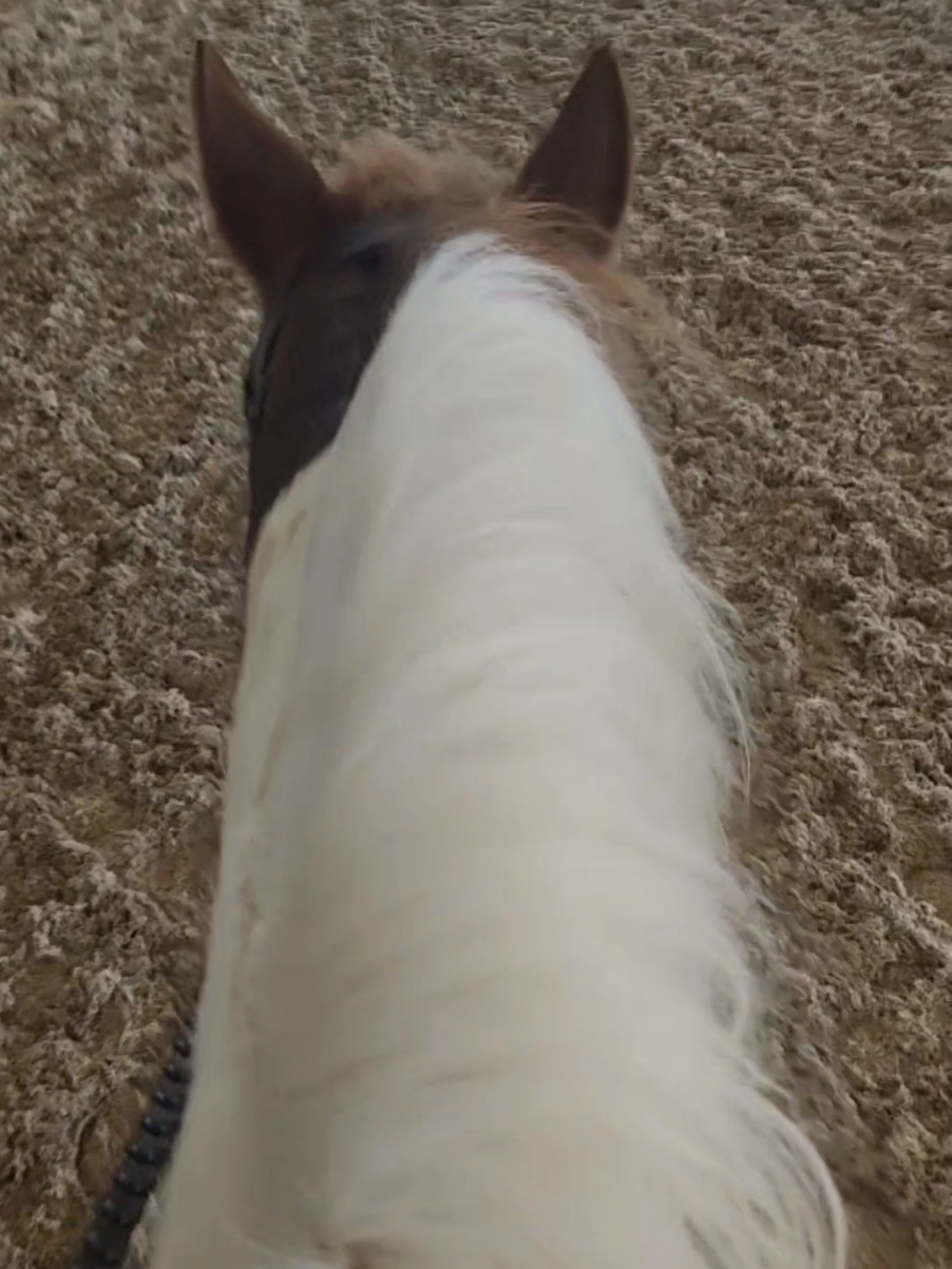 @untamablecowgirl🛢🐎&hearts;️