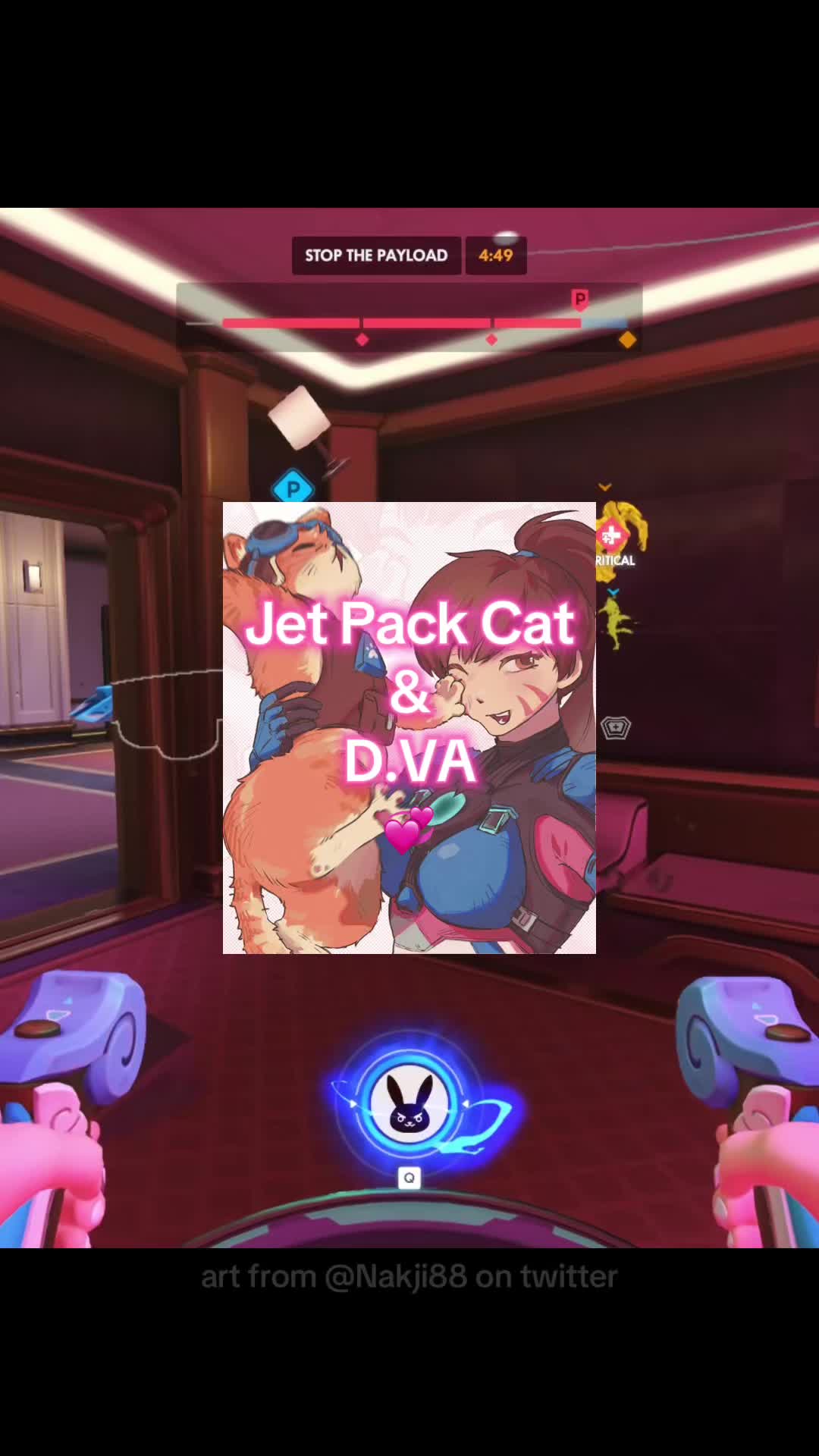 @kitty