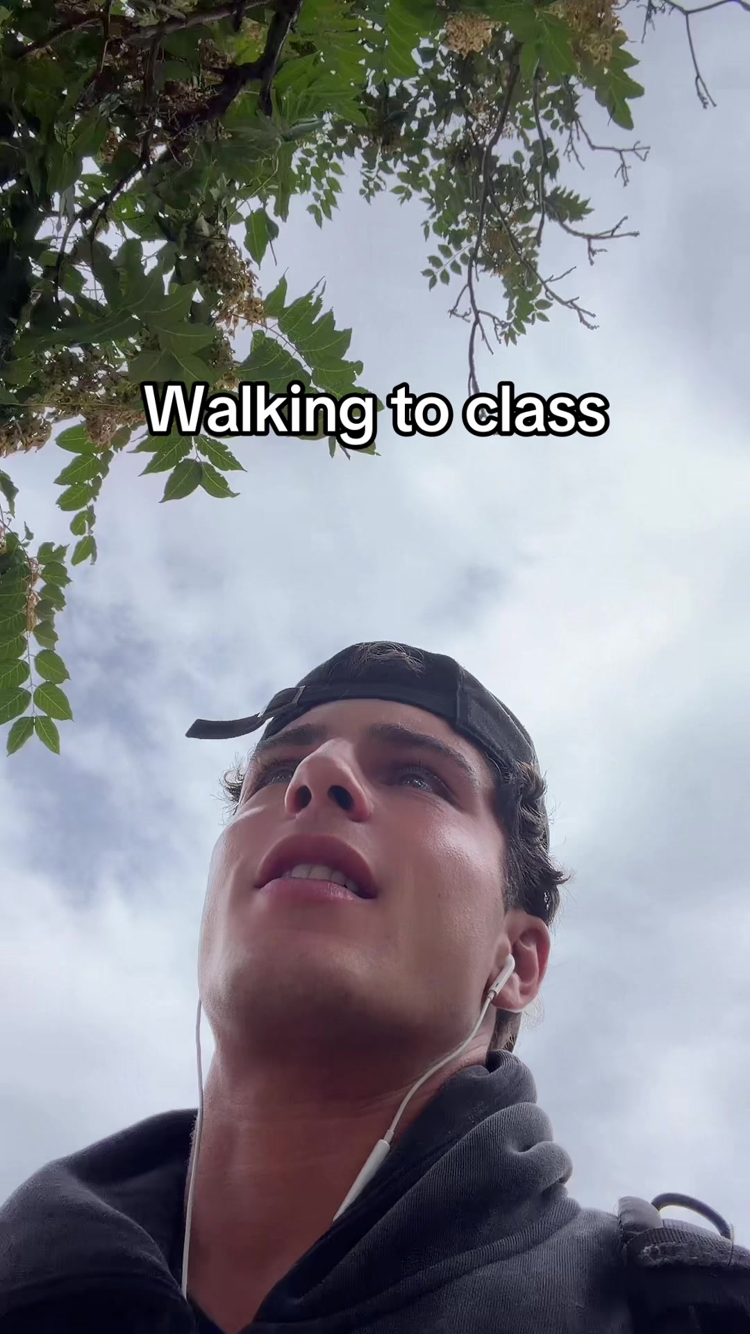 @alexaaronn