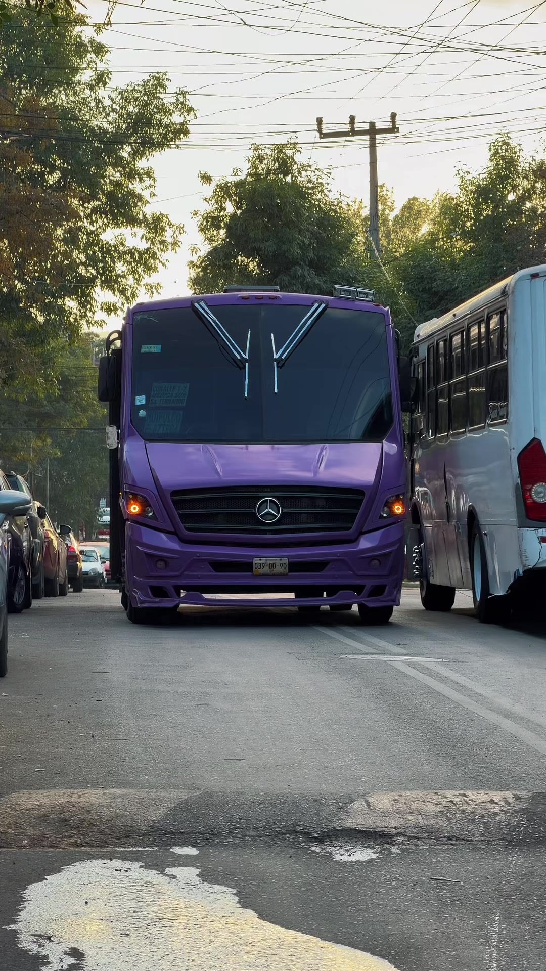 @Buses Mexas