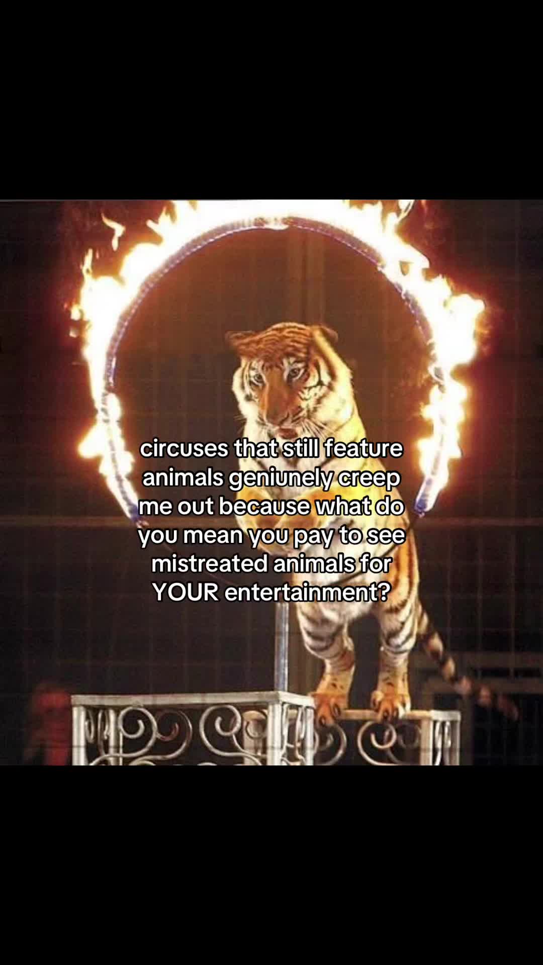@𝜗𝜚