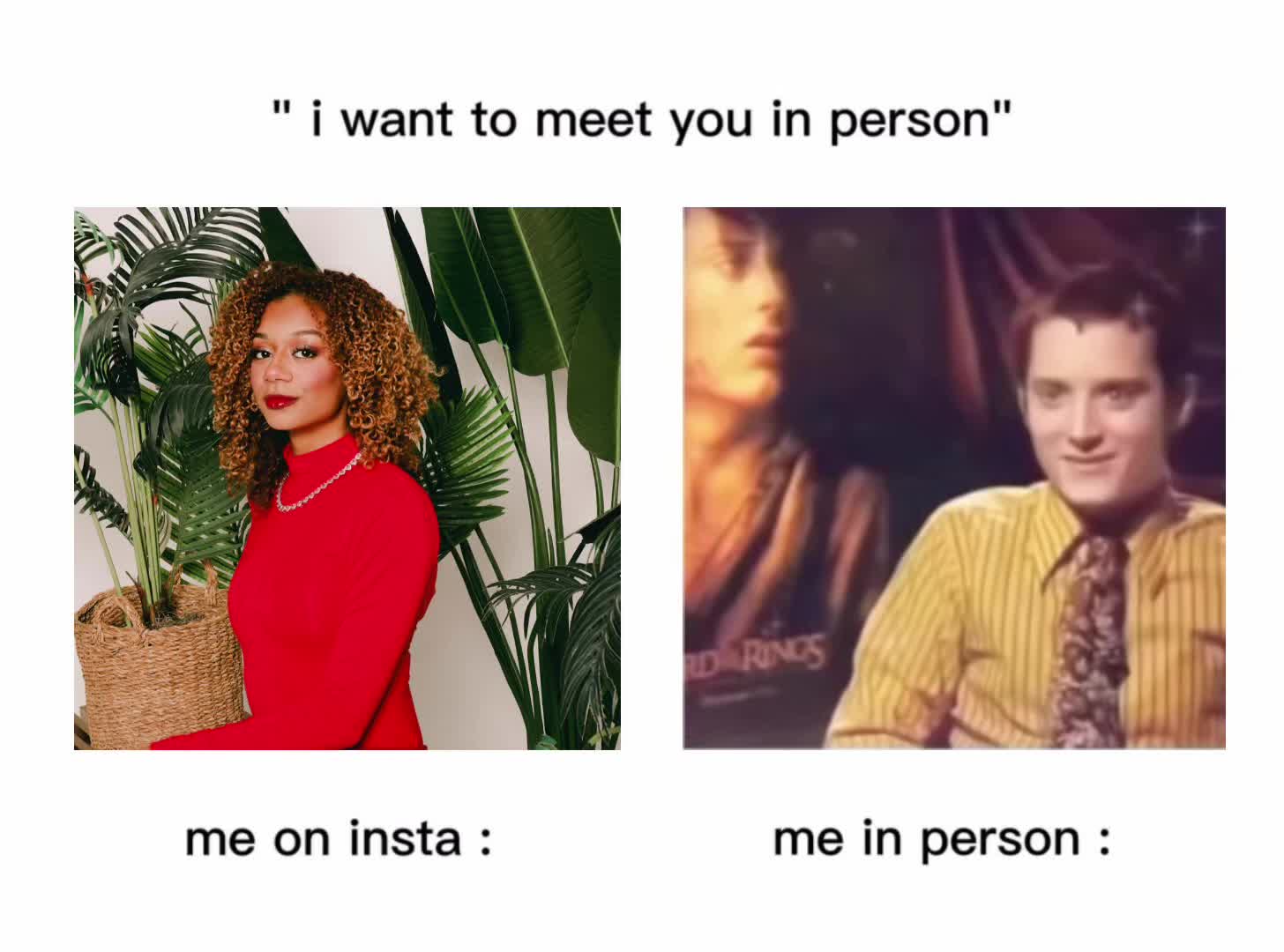 @AYLA