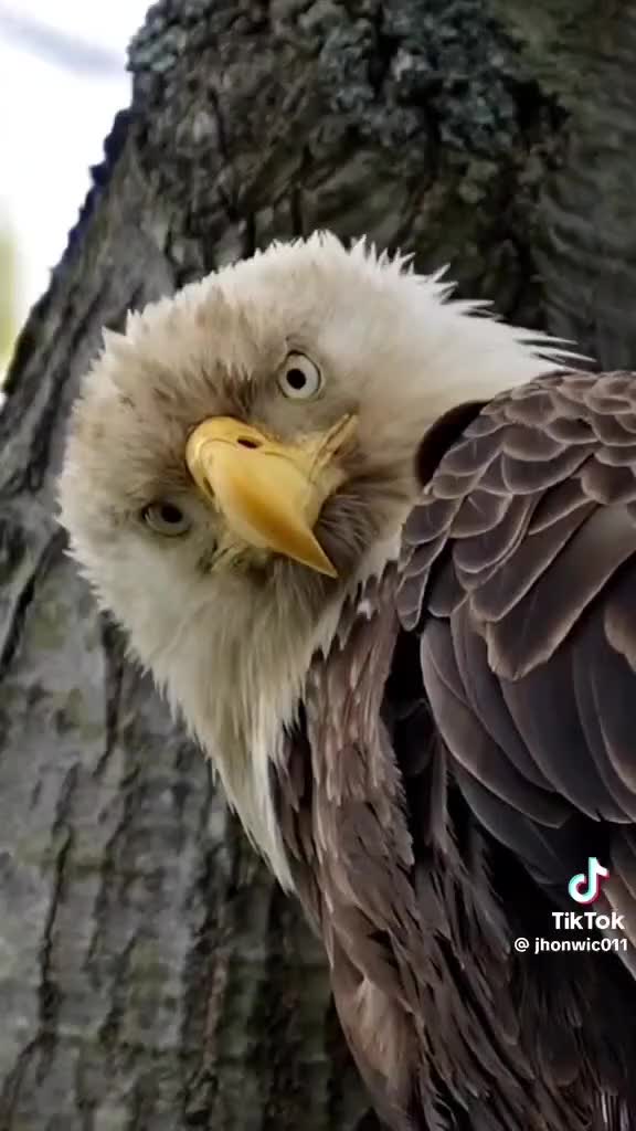 @Расулбек