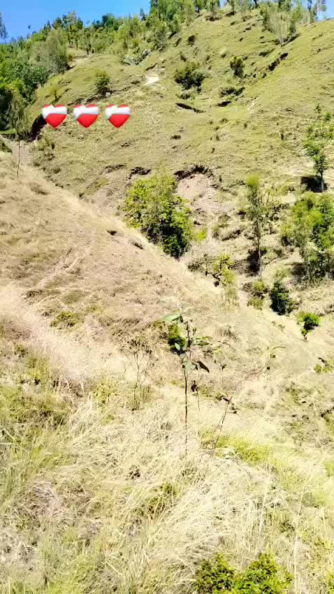 @pagal Foje