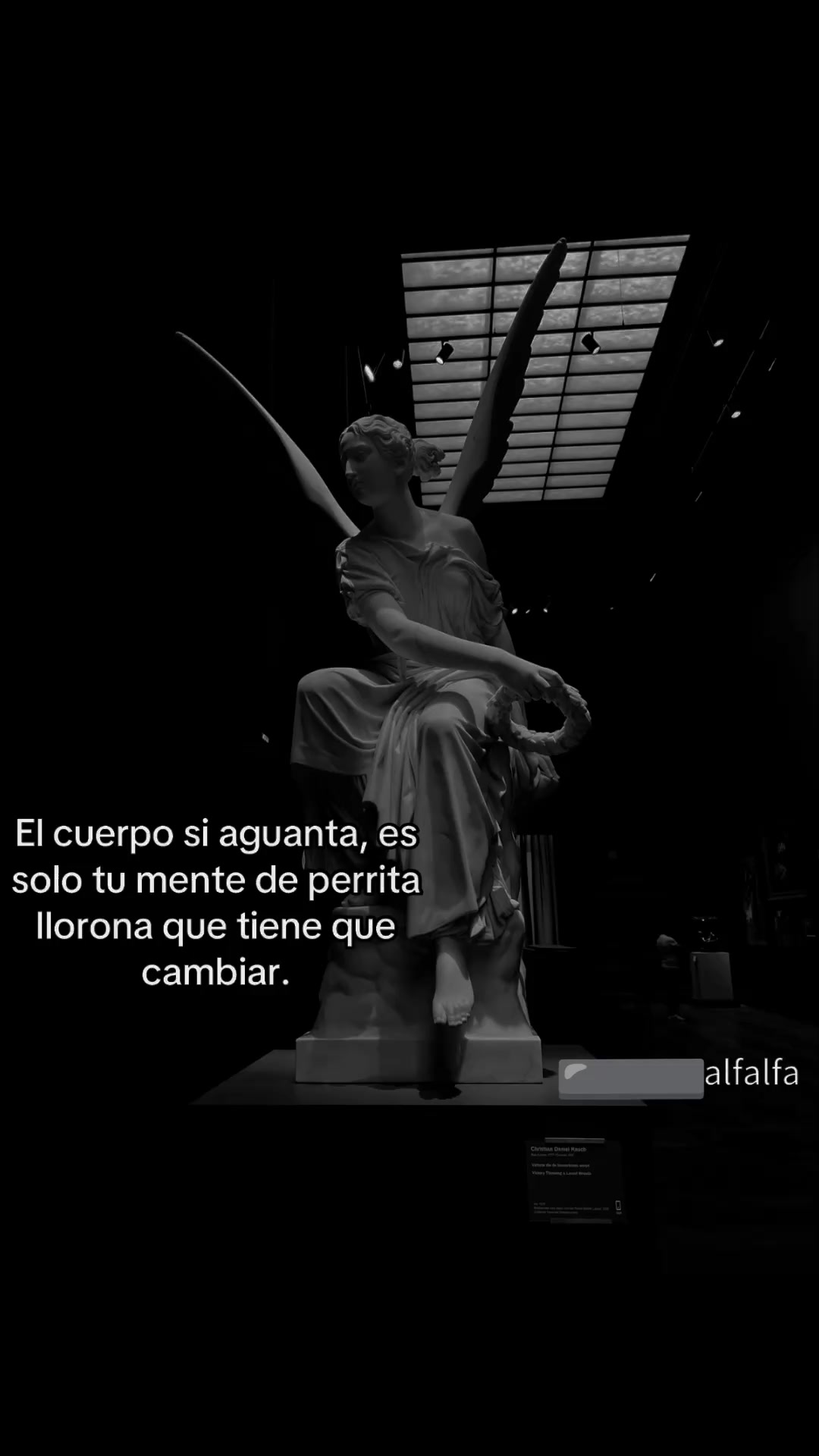 @ARMANDO