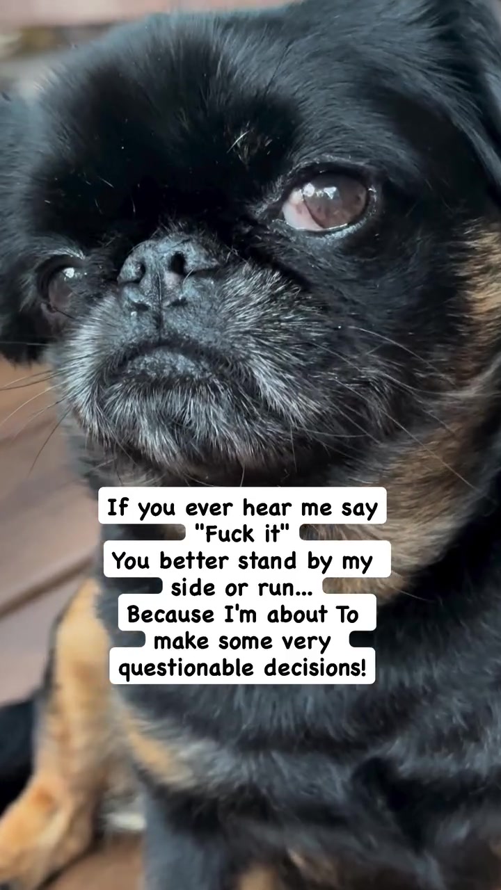 @Chicoandhisbanditos