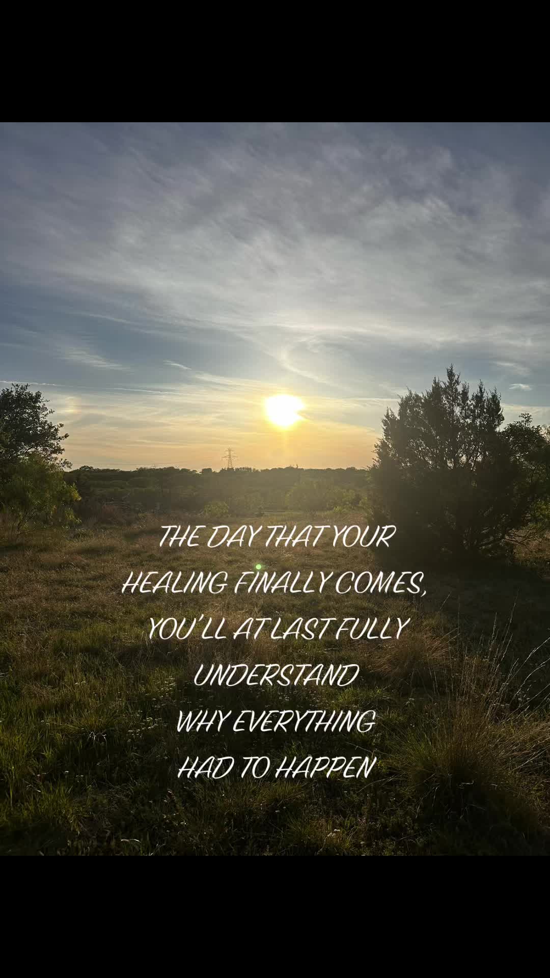 @🐝🐝