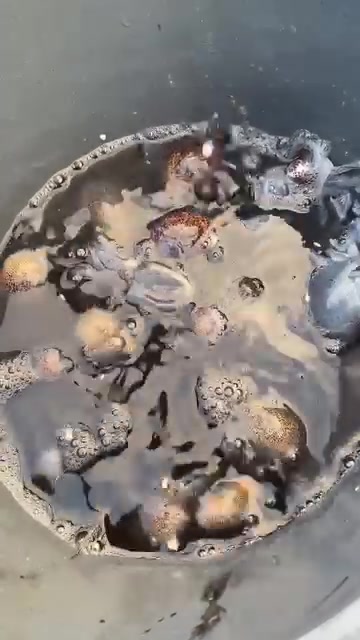 @Phạm Văn Thảo