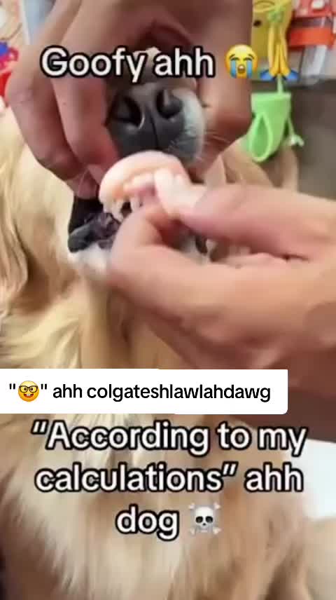 @dose_for_you