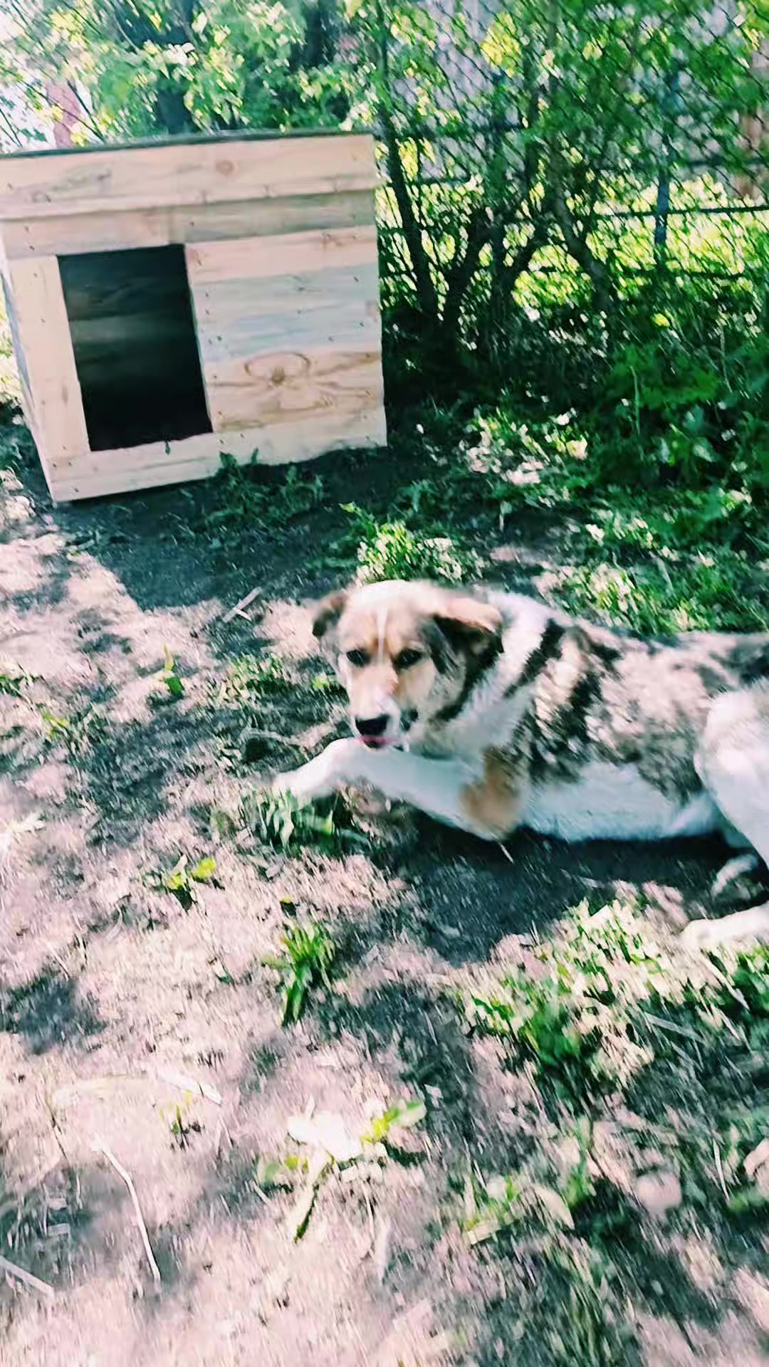 @Виктор, ваш пинок в зал😉👊