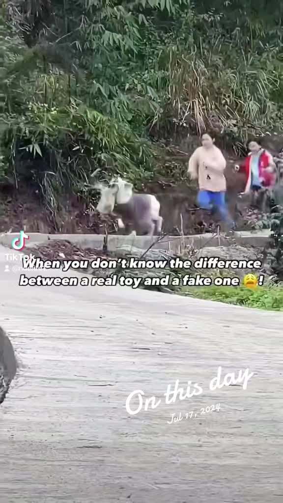 @mac7980