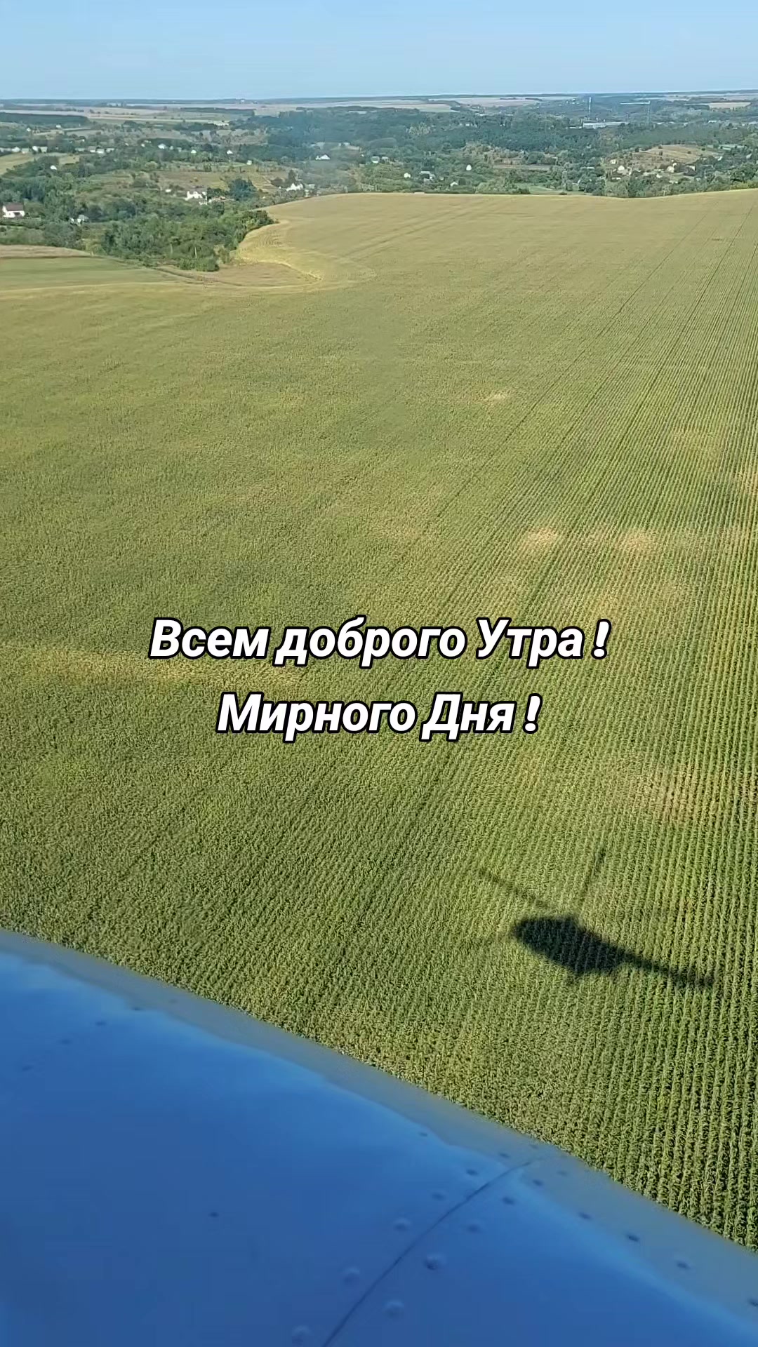 @Александр