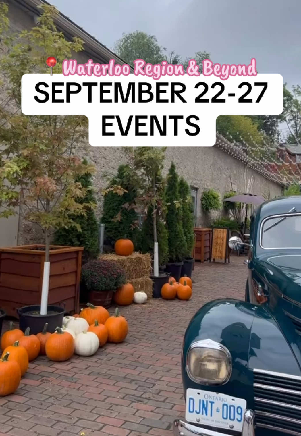 @CuratedKW | Food, Events & Fun