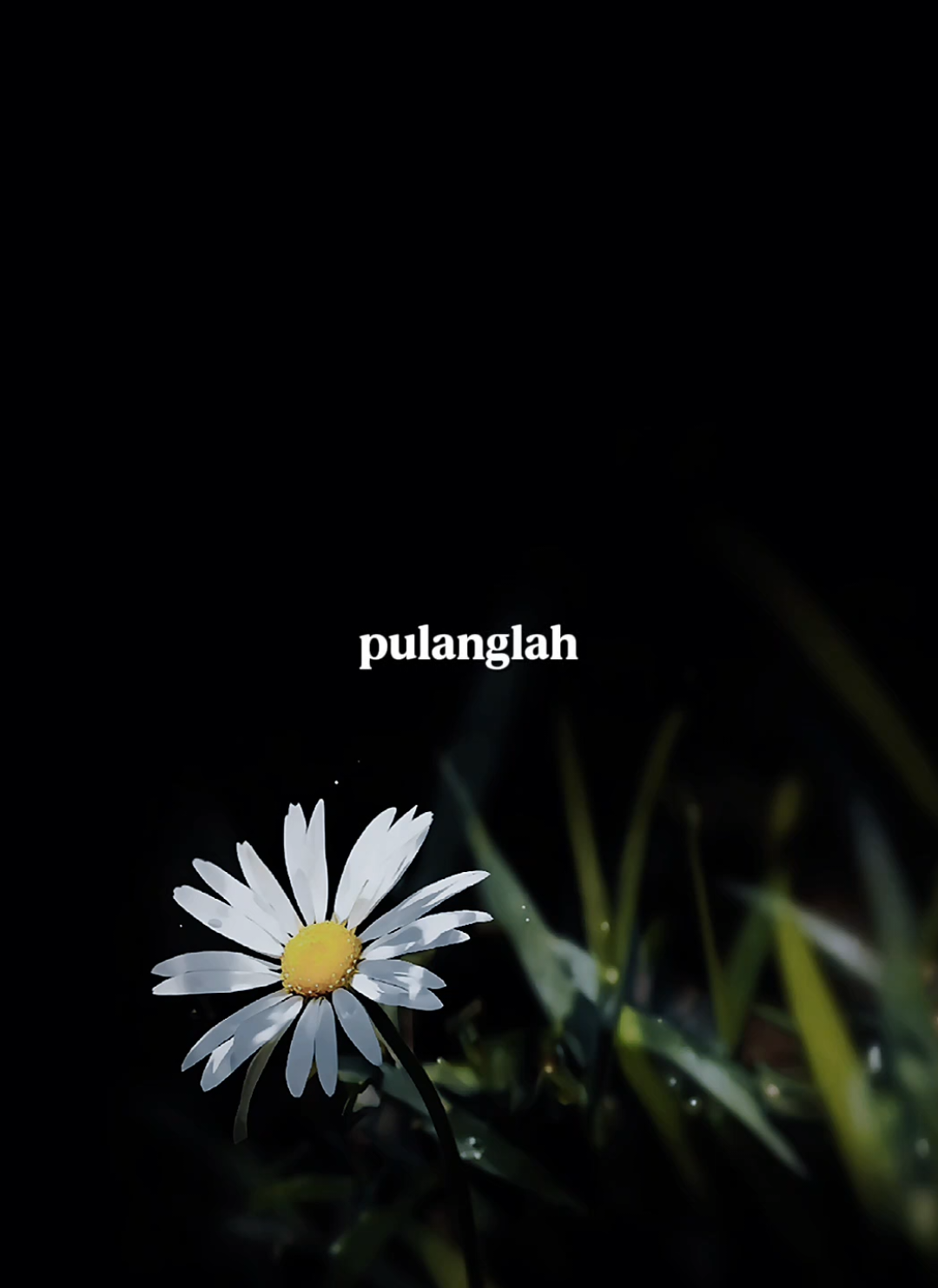 @๐๐๐ฌ๐ซ๐ฎ๐๐๐ข๐ง_๐ฑ๐๐๐