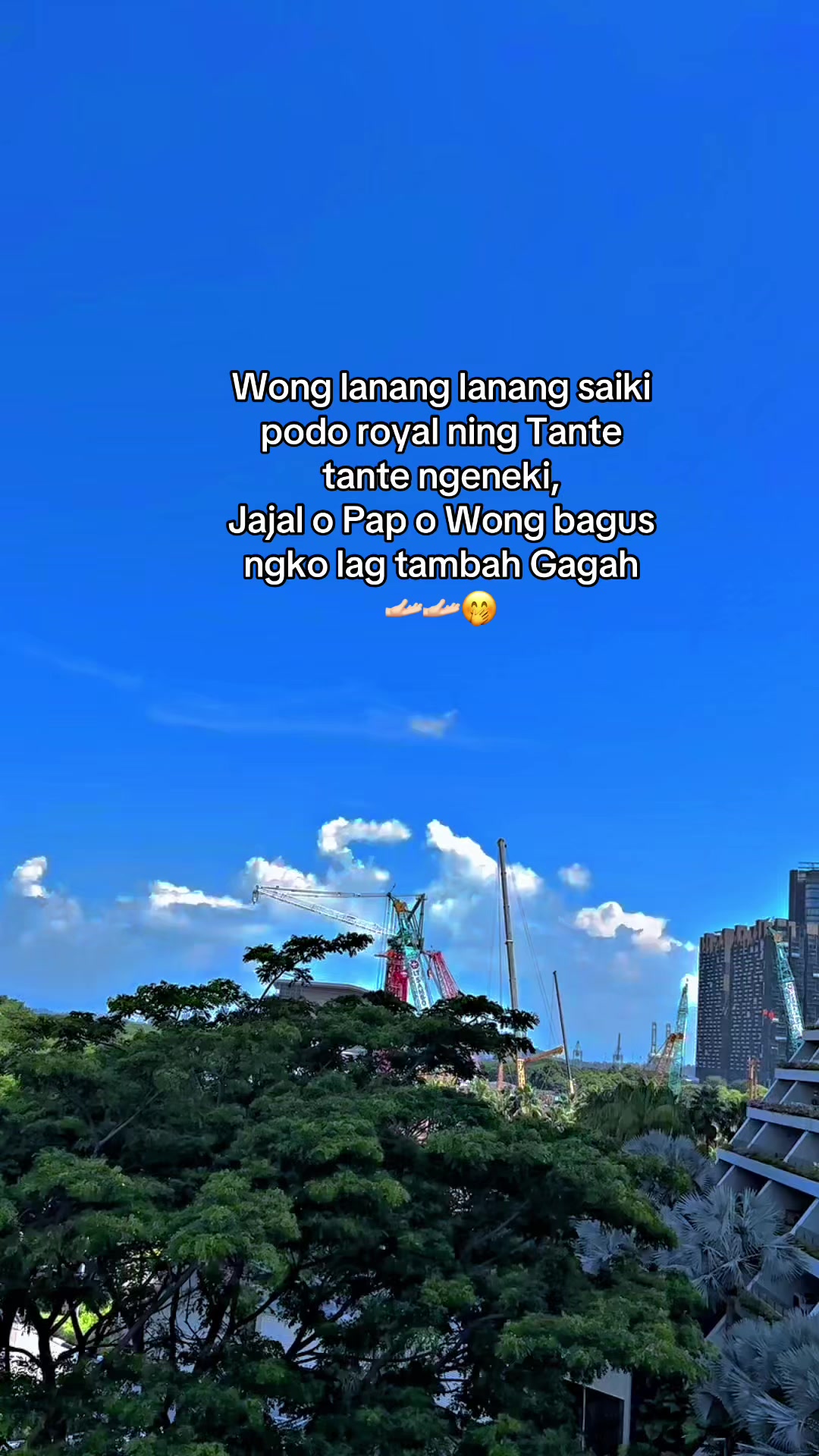 @Remukanbiskuit🫠