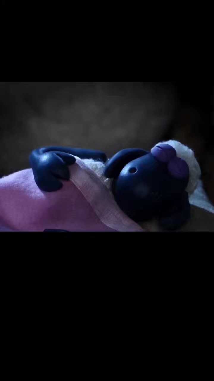 @zahnzaubermaeuschen