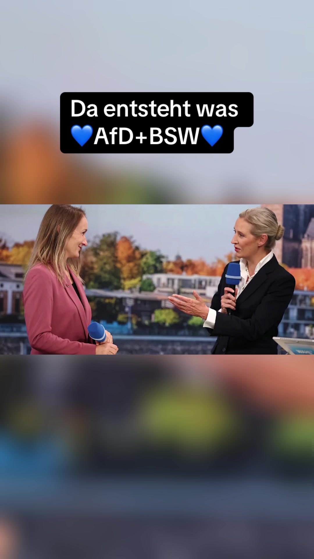 @vizekanzlerderherzen