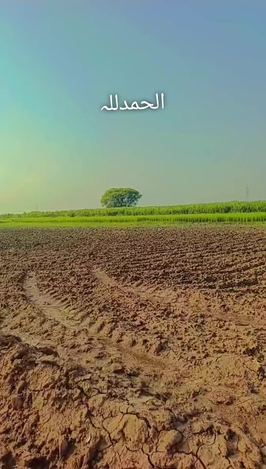 @malikarslanawan106