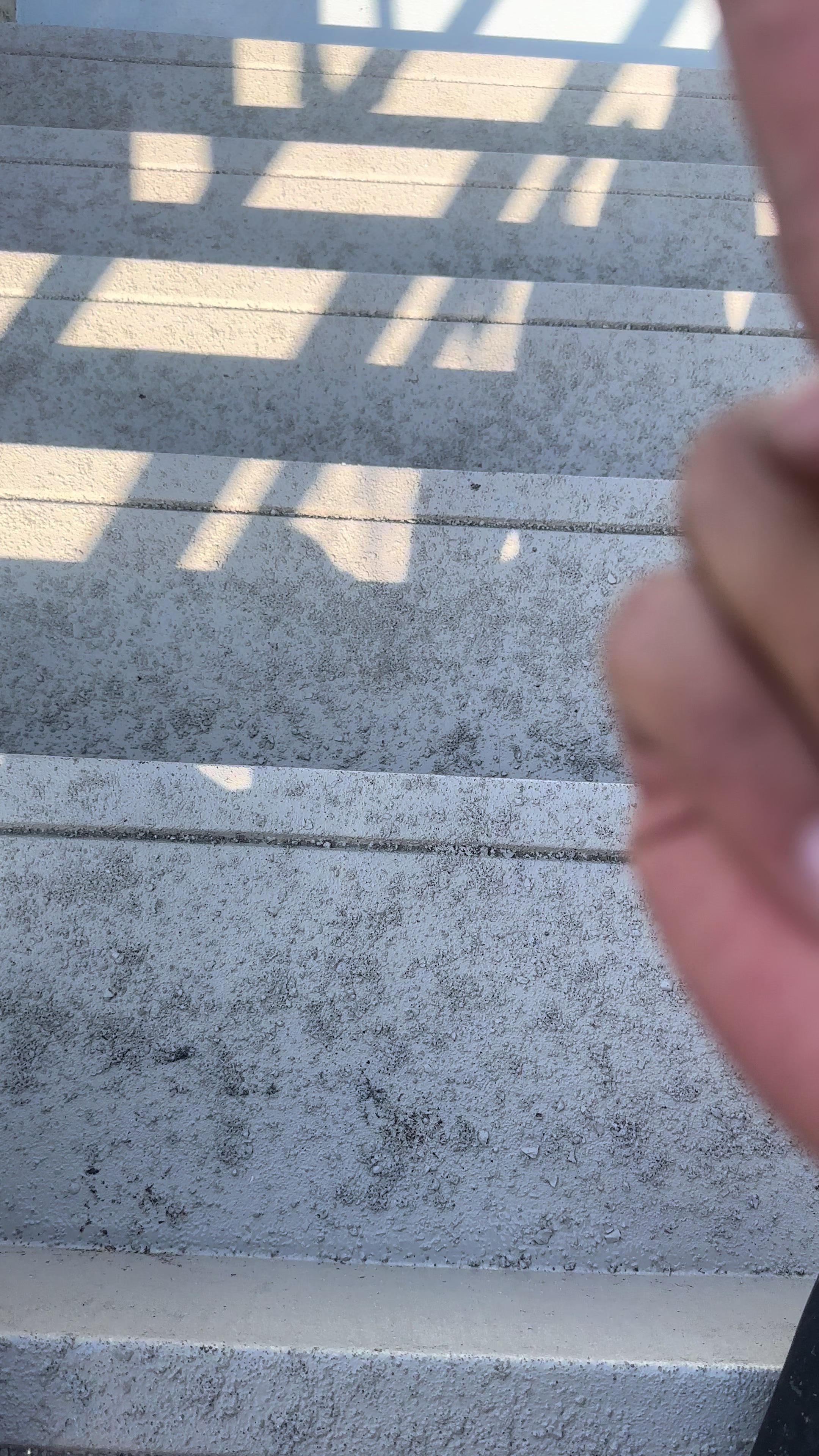 @聖水