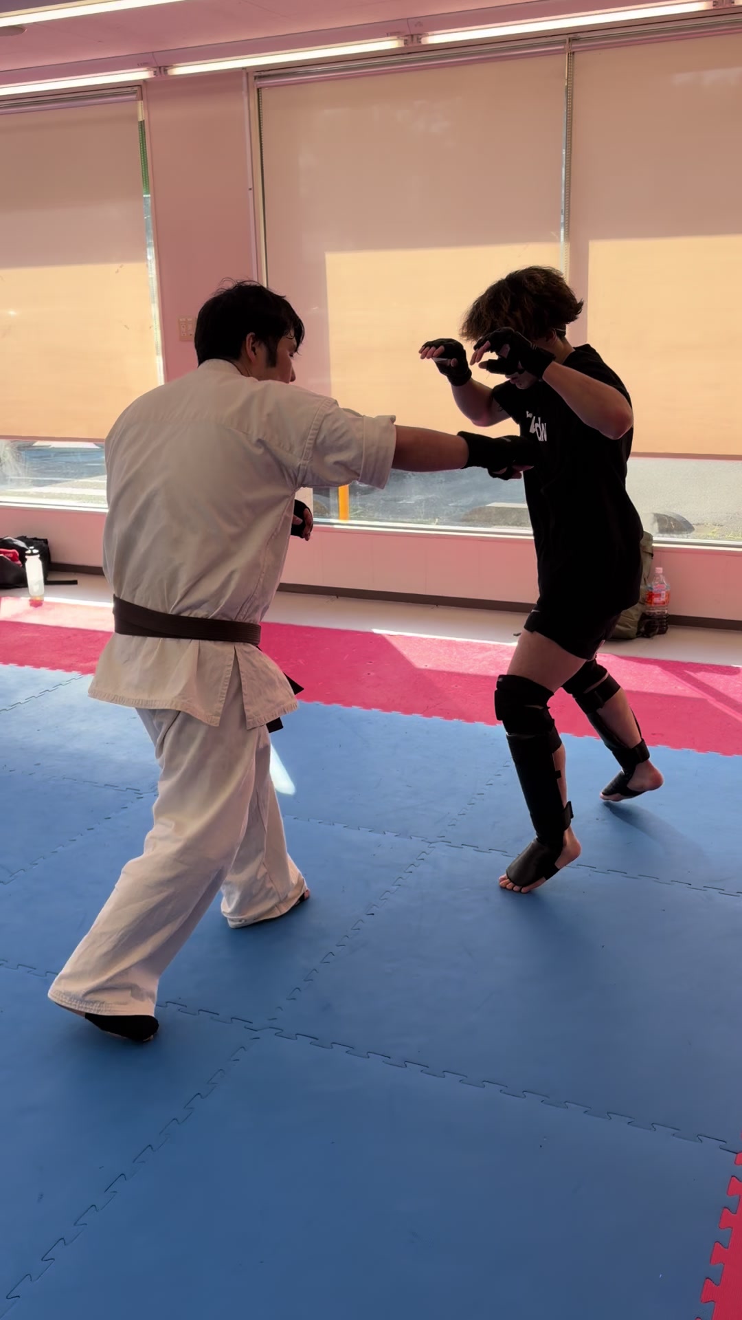 @kudodojo