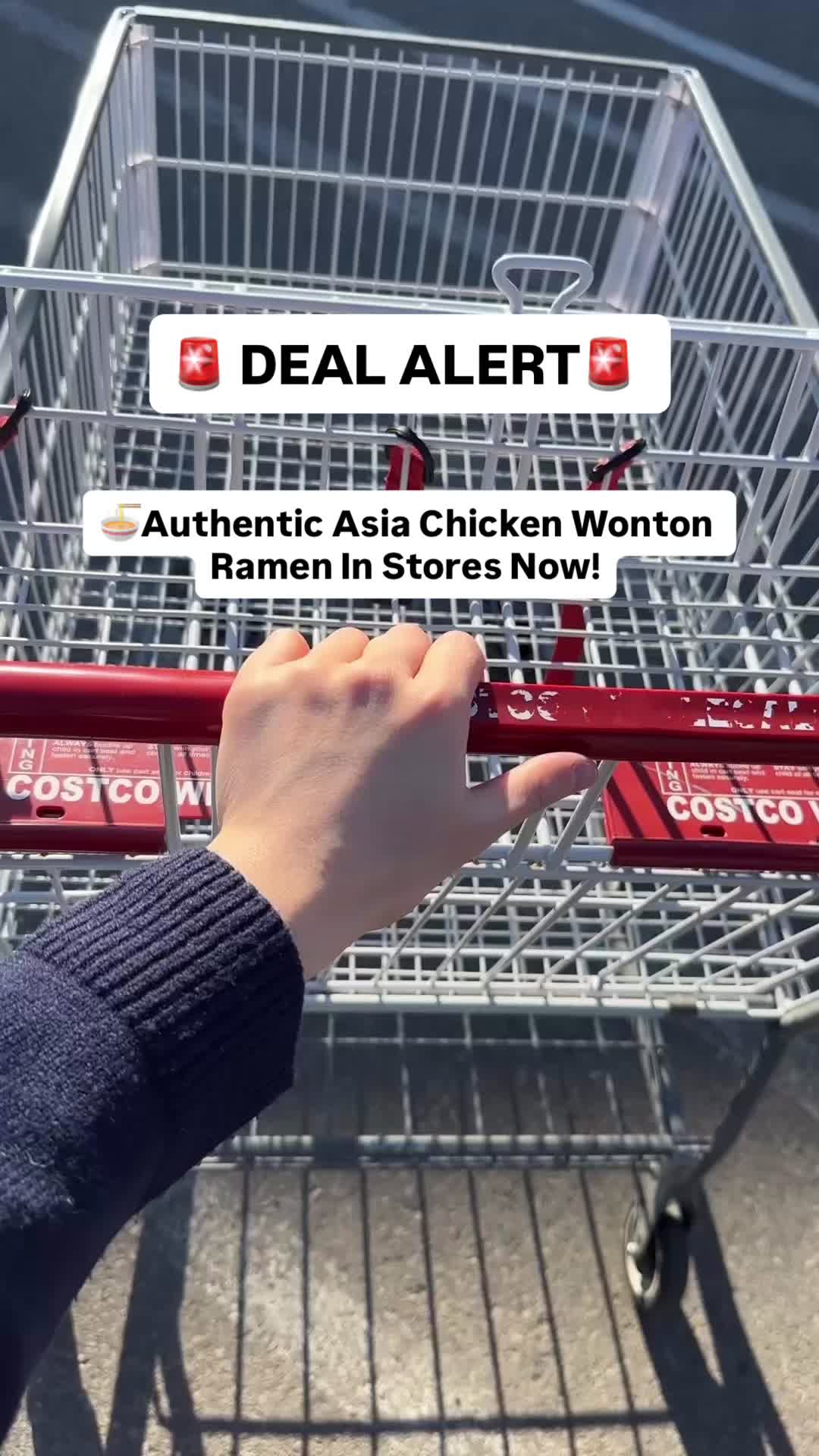 @costcodeals